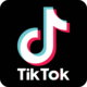 TikTok Logo